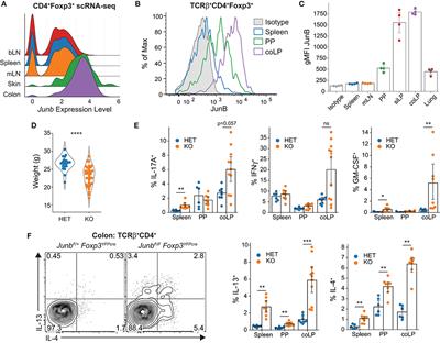 JunB Controls Intestinal Effector Programs in Regulatory T Cells